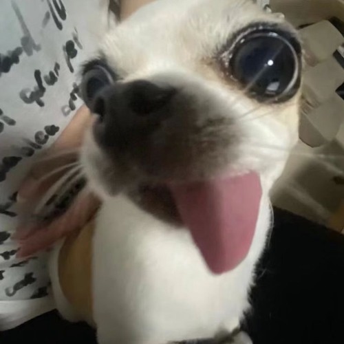 Test Âm Thanh Vol8 - Dani -