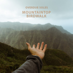 Mountaintop Birdwalk