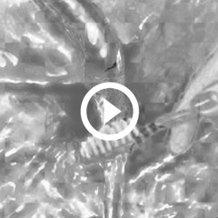 YMO - Ballet (Reggae Touch EDW Remix)