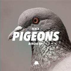 ICKX – Pigeons (Original Mix) // free download (HQ)