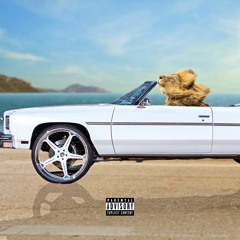 Pioneer- Put It In Drive