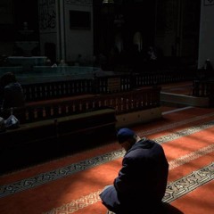 تِلاوة مُرَتّلة مِن || سُوَرة فاطر.