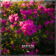 Logic23 x Oscuro - Rebirth