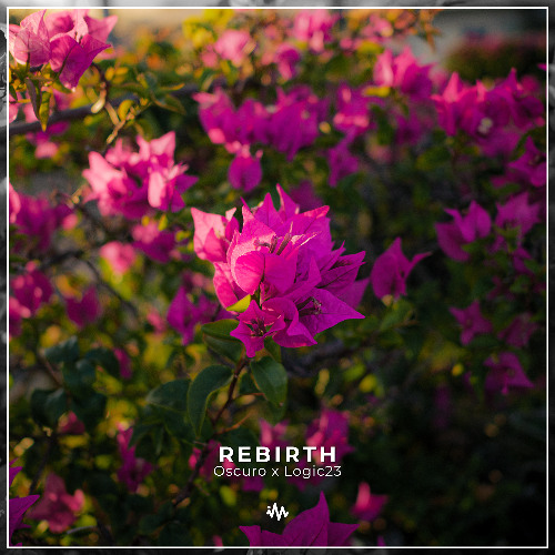 Logic23 x Oscuro - Rebirth