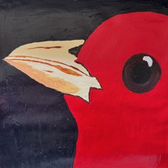 Tanager