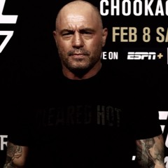 Joe Rogan & Tyson Fury & David Goggins - "Don't listen to anybody else"