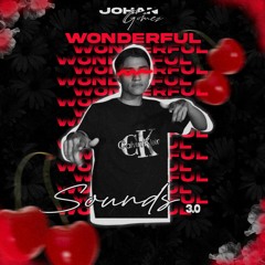 WONDERFUL SOUNDS 3.0 (JOHAN GOMEZ)