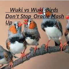 Wuki Vs Wuki Birds Dont Stop Oracle's Phrase MashUp