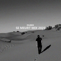 Dubix - Se Meurt Mix 2025
