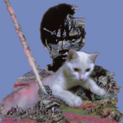 a warrior and his cat