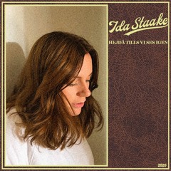 Hejdå tills vi ses igen