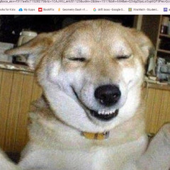 ERM WHAT THE SIGMA!!!!!!!!!!!!!!!!