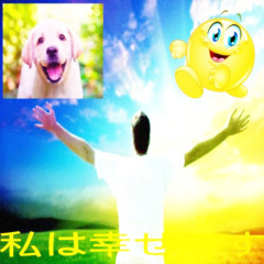 I get bullied on a daily basis