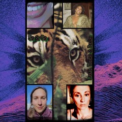 Lions, Tigers And Bears