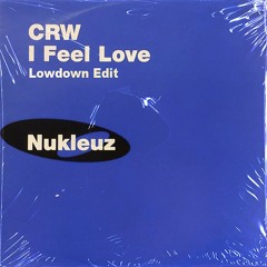 CRW - I Feel Love (Lowdown Edit)