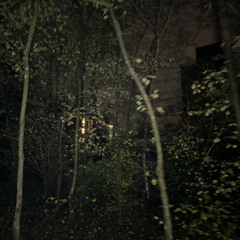 A Bittersweet Moment Goes Faster Than You Think (Bonus Track)