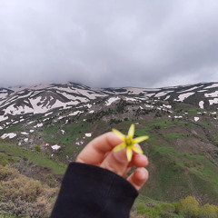 Serhat Kural-Min Ew Kesem(feat. Ruken Yılmaz)