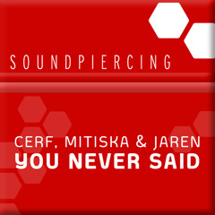 You Never Said (Dash Berlin Remix)