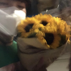 Sunflower - sieu pham nhac tinh 2023 (demo)