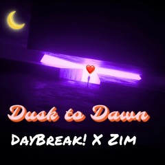 Dusk To Dawn ft Zim