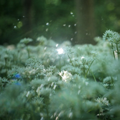 Sound Journal I