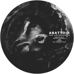 [PREMIERE] | BRÄLLE - Abattoir (Connor Wall remix) [AM102]
