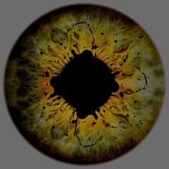 IAMX - Nightlife (eidetaker mix)