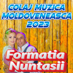 Stream 2022 Muzica Moldoveneasca Colaj Muzica de Petrecere Moldoveneasca  2022 by Formatia Nuntasii | Listen online for free on SoundCloud