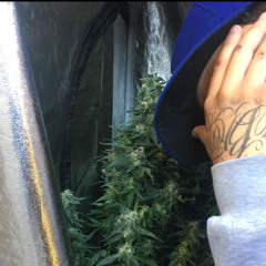 EASTLOS SHIT