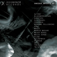 Various Artists - Axaminer Sampler vol. 8