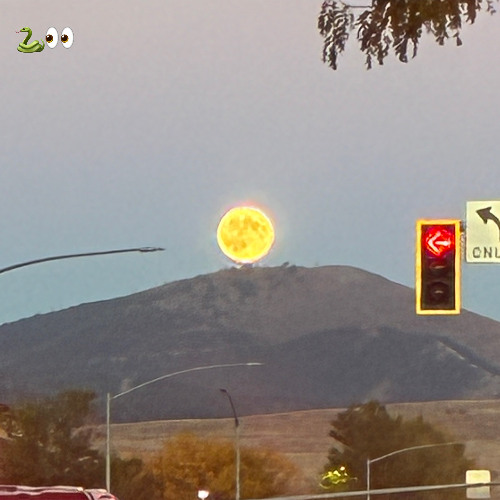 HIT EM IN THE HARD WALLET