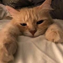 Pornography (I Don't Care) [Prod. Rafiki Music]