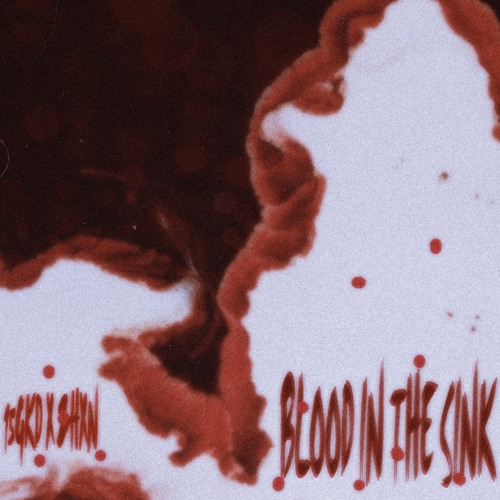 Blood In The Sink W/ZHXN