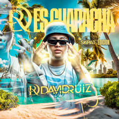 DR ES GUARACHA (SKPAT EDITION)by David Ruiz
