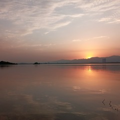 Janana sala rakawe: Haider Salim