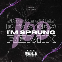 100 (I'm Sprung REMIX) by Sreeb & $ad Goon