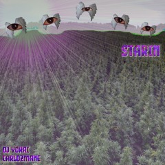 Yoke x CARLOZMANE - Starin