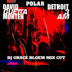 David Guetta X MORTEN ❤️-  Polar Detroit 3 AM (DJ Grace BLOEM MIX CUT Part 2)