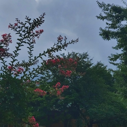 Gummy (거미) - Autumn Breeze🍂 (Cover by Blue.D)