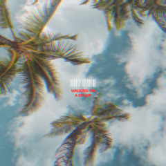 Bibie Flow - DJ set: Walking on a Dream ( Organic House / Progressive House )