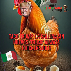Trump es la gallina sin huevos