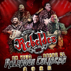 Los Hijos del Chapo (En Vivo)