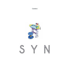 Syn