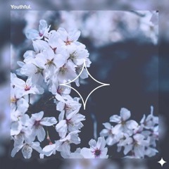 Flay! Youthful (Lemon lofi remix)