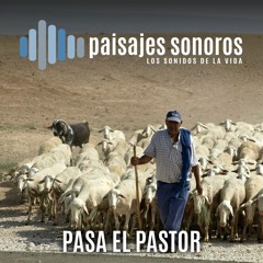 Pasa el Pastor. Sonidos del Campo 🐐🐑🔔