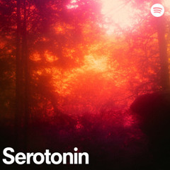 Serotonin booster - instant dopamine boost, dopamine house music best dopamine songs dopamine house