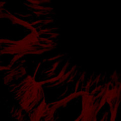 RECKLESS [FREE DL]