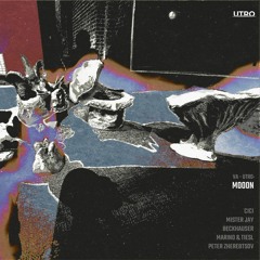 Premiere: Peter Zherebtsov - Papillon [UTR021]