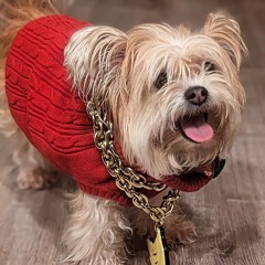 Helena - Buss it (Pulp Flip)