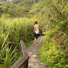 China And Taiwan Field Recordings. Summer 2025